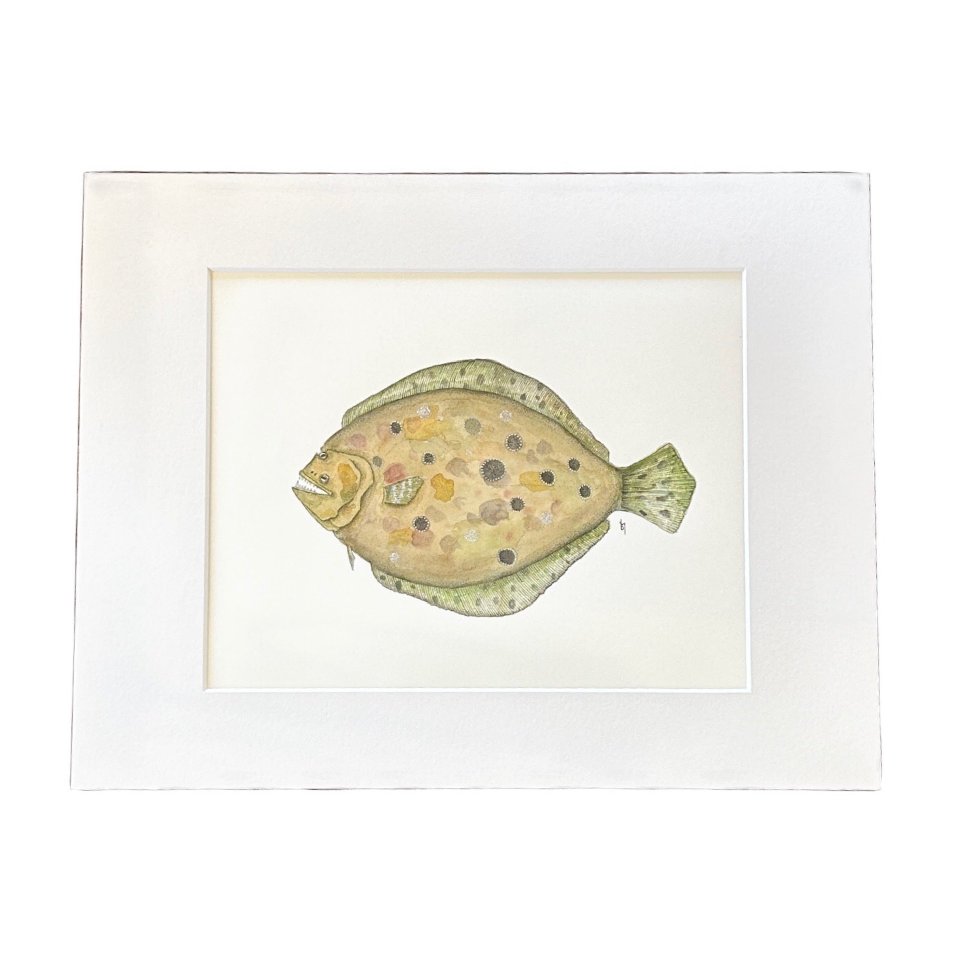 Stanley the Flounder Frying Pan Gallery